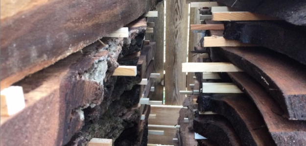 Timber Woodcraft